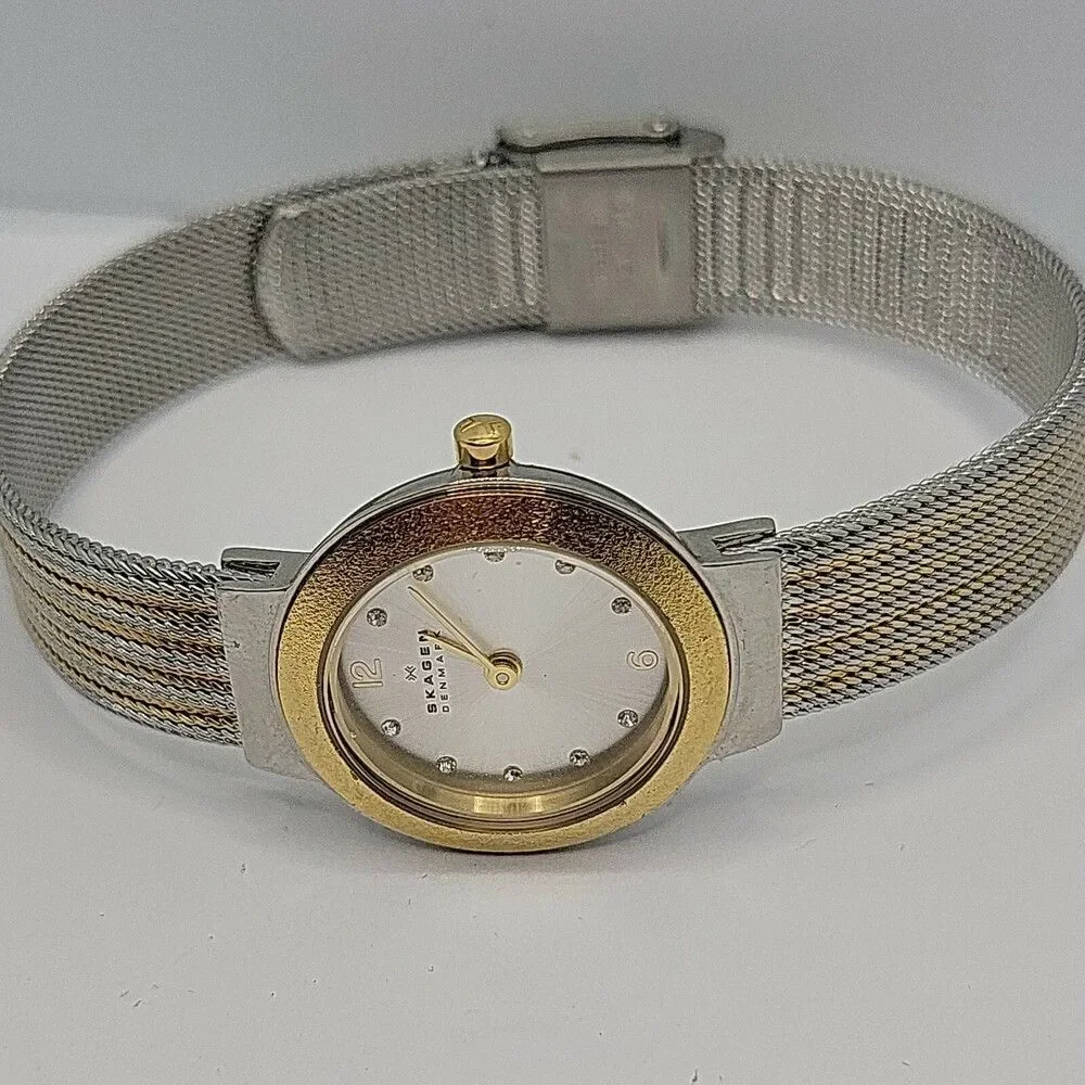 SKAGEN SKW2157 Women's Stainless Steel Analog Gold Dial Quartz Wrist Watch AM597